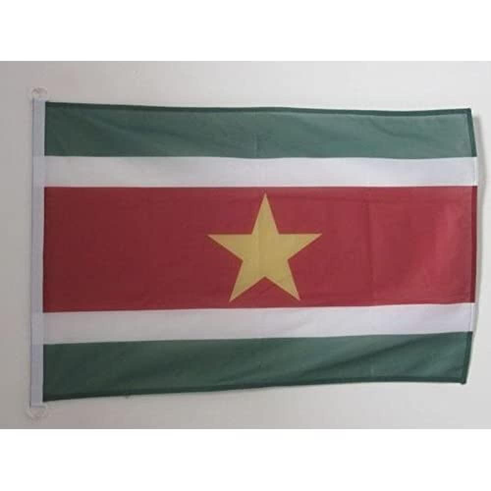 AZ FLAG - Suriname Flag - 2x3 Ft - For Outdoor - Surinamese Banner Knitted Polyester with Two Plastic Rings - Fade Resistant - Vivid Colors - 2' x 3' Feet - 90x60 Cm