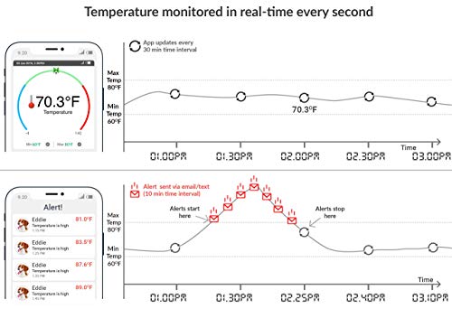 6 PetSafety+Temperature+Environment+Motorhome+Subscription