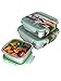 JaceBox Stainless Steel Containers - Adults Kids Square Set of 3 Leak Proof Bento Box Airtight Freezer Safe BPA FREE Metal Boxes New Snap On Latch Lids For Sandwiches Salads & Snacks by JaceBox