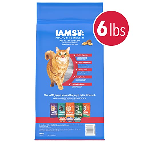 IAMS HEALTHY ENJOYMENT DRY CAT FOOD CHICKEN & BEEF RECIPE, CAT FOOD DRY RECIPE, 6 LB. BAG