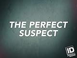 The Perfect Suspect Season 1