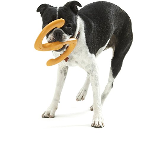 image for West Paw Zogoflex Bumi Interactive Tug of War Durable Dog Play Toy, 10