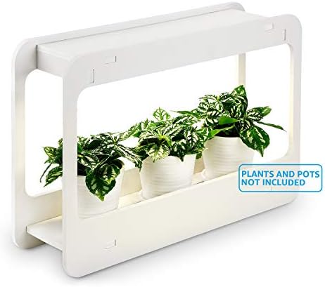 TORCHSTAR Indoor Herb Garden, Plant Grow LED Light Kit ...
