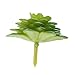 MagiDeal Artificial Succulent Real Touch Alocasia Flower Foliage Plant Decor Green