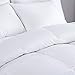 puredown Luxury Fill White Goose Down Comforter 400 Thread Count 600 Fill Power Eygptian Cotton, Full/Queen Size, White (PD-GC15007-F)