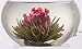 Primula Tea Flowers – 12-Pack – 36 Steeps, Makes 250 Cups – Green Tea Flowers with Natural Jasmine – Handpicked Ingredients