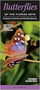 Butterflies Of The Florida Keys A Guide To Common