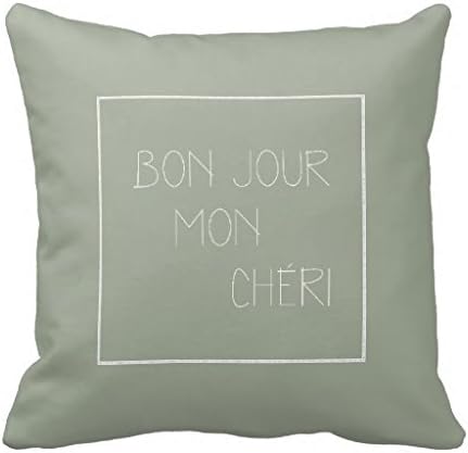 Bonjour Mon Cheri Hello Darling French Throw Pillow Case Amazon