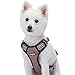 Blueberry Pet 9 Colors Soft & Comfy 3M Reflective Multi-Colored Stripe Mesh Padded No Pull Dog Harness Vest with Back Leash Clips, Medium, Olive & Blue-Gray