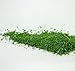 Hoosier Hill Farm Ground Kale 1 Pound Jar