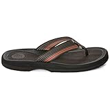 RAFTERS Men's Tsunami Stripe Flip Flops Brown