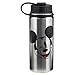 Vandor Disney Mickey Mouse 18 Ounce Vacuum Insulated Stainless Steel Bottle, Silver