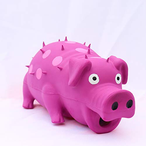 VIMIGOO Latex Dog Chew Toy Grunting Pig Sound Play,Pig Pet Toy (Purple)