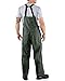 Carhartt Men's Surrey Bib Overall, Green, Large