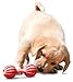 PetSafe® Busy Buddy® Waggle Puppy Toy, Extra Small