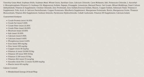 Oxbow Critical Care Fine Grind Pet Supplement, 100gm - //medicalbooks.filipinodoctors.org