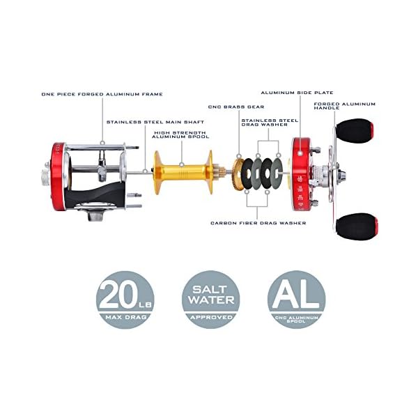 KastKing-Rover-Round-Baitcasting-Reel-No-1-Rated-Conventional-Reel-Carbon-Fiber-Star-Drag-Reinforced-Metal-Body-2016-Rover-RXA-Conventional-Reel-Inshore-and-Offshore-Saltwater-and-Freshwater-Reel-Awar