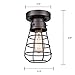DANSEER Retro Industrial Loft Barn Oil Rubbed Bronze Cage Ceiling Light Fixture