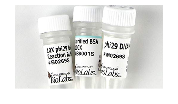 phi29 dna polymerase 1 250 units amazon com industrial scientific