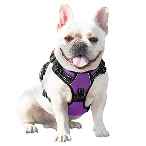 PHOEPET No Pull Dog Harnesses for Small Dogs Reflective Adjustable