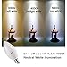 AED Lighting LED Candelabra Bulb 50-Watt Light Bulbs Equivalent LED 6 Watt E12 Candelabra Base Daylight White 4000K, Pack of 6