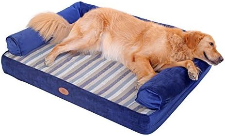 dental care cat food