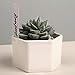Plant Labels, ZOUTOG 1000 Pcs Plastic Plant Tags 4 Inch Garden Makers with Pen