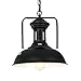 Pauwer Pendant Light Industrial Metal Barn Pendant Light with Dome/Bowl Shade Nautical Pendant light with Adjustable Chain