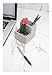 Kikkerland Concrete Desktop Planter, Small (PL02-S)