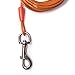 MFPS Favorite Tie Out Cable for Dogs, 30-feet, 3 Colors (Orange)
