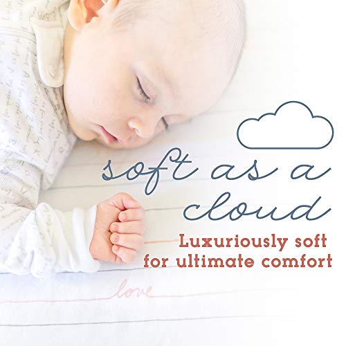 Earth & Eden Baby Diapers, Size 5, 152 Count Pricepulse