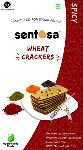 SPICY flavoured khakhra - Ideal Gujrati Dry Snacks