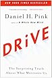 Drive: The Surprising Truth About What Motivates Us