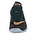 Nike Men's Lebron XII Low Basketball Shoe