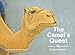 The Camel's Quest (The Stable Stories) (Volume 2) by Nigel Desmond, Nicolette Stewart