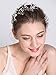 fxmimior Bridal Wedding Headpiece Hair Vine Crystals Rhinestone Headband Tiara Wedding Party Evening Hair Accessory (silver)