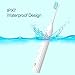 Electric Sonic Toothbrush Clean for Adults, USB Rechargeable Powered Toothbrush Built-in Smart Timer, 3 Deep Cleaning Modes, 2 Replacement Brush Heads, IPX7 Waterproof, Dentists Recommend, White