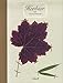 Herbier by 