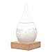 WELLDONE present Creative Stylish Desktop Drops Storm Glass Crafts Weather bottle Forecast Bottle Barometer(Mini-6 * 12)