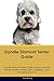 Dandie Dinmont Terrier Guide Dandie Dinmont Terrier Guide Includes: Dandie Dinmont Terrier Training, by 