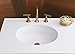 KOHLER K-2881-0 Verticyl Oval Undercounter Bathroom Sink, White