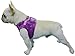 Lanyarco Purple Lovely Heart Print Fleece Padded Soft Dog Harness Safe Harness Winter Pet Harnesses for Small Dogs,Medium Size
