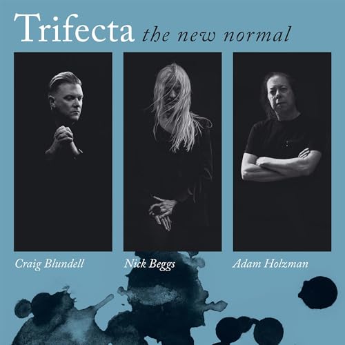 The New Normal [VINYL]