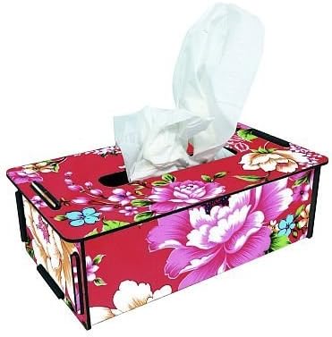 WERKHAUS Caja pañuelos: Amazon.es: Hogar