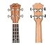 VIVICTORY Soprano Ukulele 21 Inch Mahogany Aquila String With Beginner Kit : Tuner, Gig Bag, Straps and Picks - Natural Color