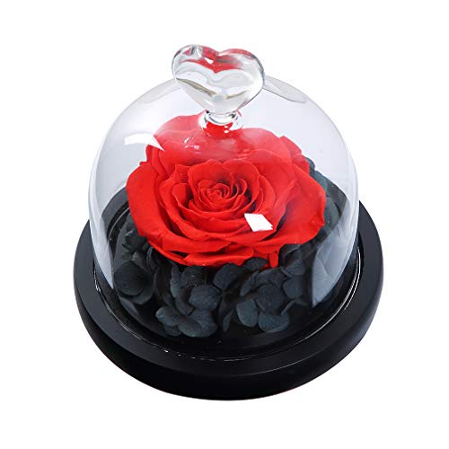 ANLUNOB Handmade Enchanted Rose Forever Rose Anniversary Day Gift