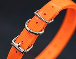 TrainPro 27 ½” X ¾” Replacement Dog Collar