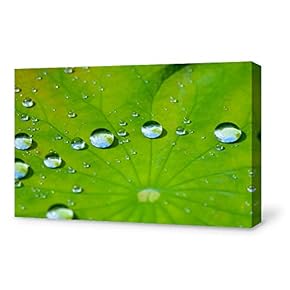 SIGNFORD Canvas Wall Art for Living Room,Bedroom Home...