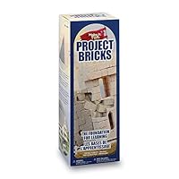 FloraCraft Foam 285 Piece Project Bricks 0.6 Inch x 0.6 Inch x 1.4 Inch Tan