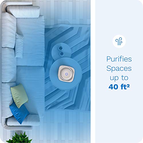 hOmeLabs 4-in-1 Compact Air Purifier - Quietly Ionizes and Purifies Air to Reduce Odors and Particles from the Air - Image 5